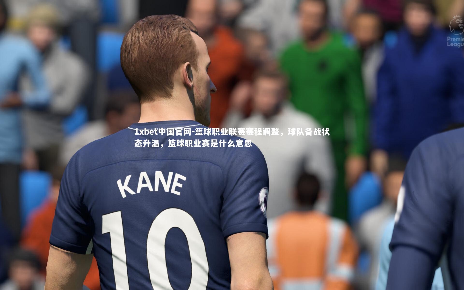 篮球职业联赛赛程调整，球队备战状态升温，篮球职业赛是什么意思