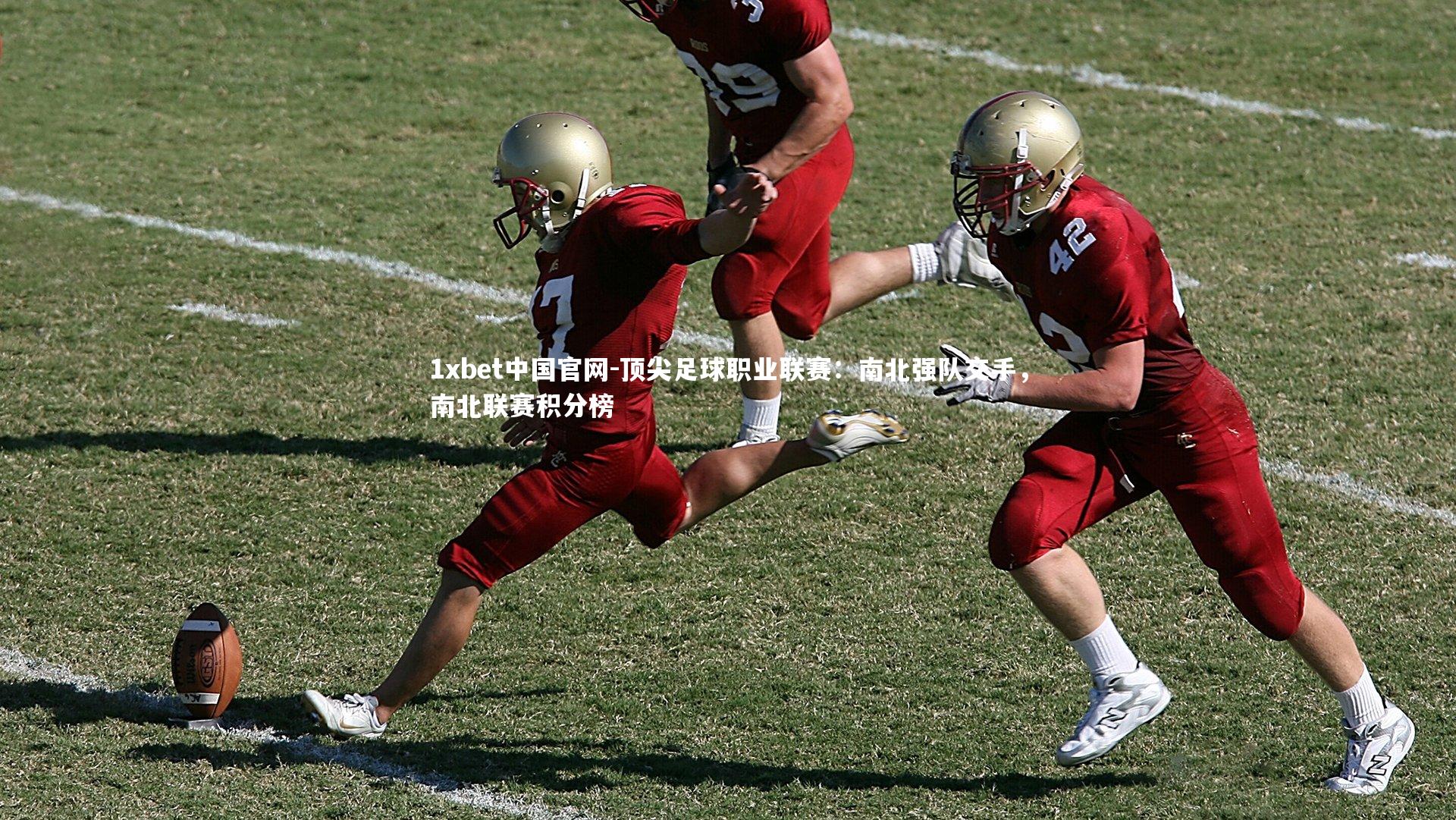 顶尖足球职业联赛：南北强队交手，南北联赛积分榜