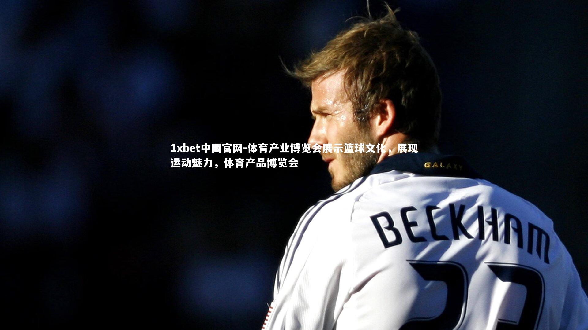 体育产业博览会展示篮球文化，展现运动魅力，体育产品博览会