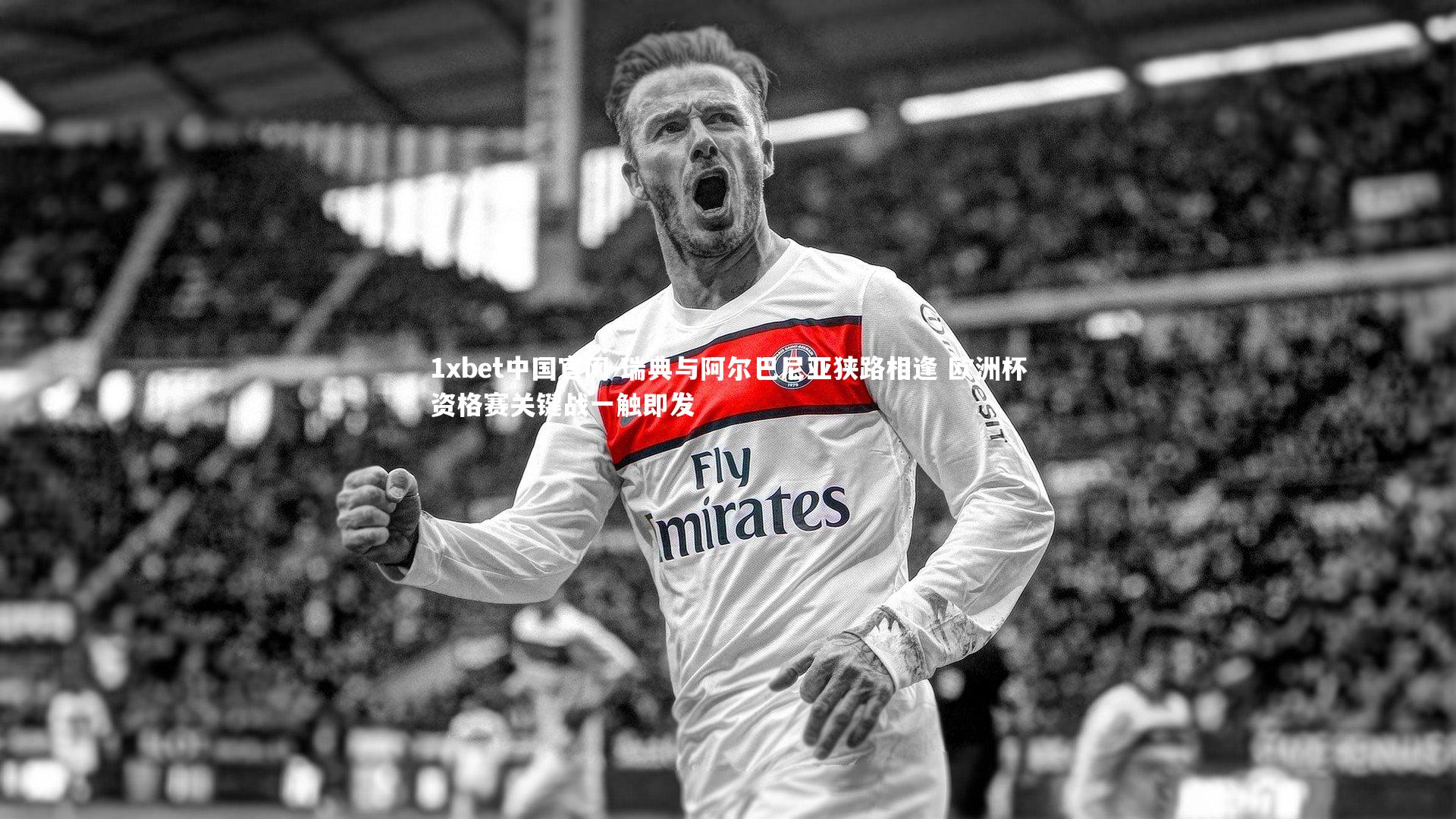 瑞典与阿尔巴尼亚狭路相逢 欧洲杯资格赛关键战一触即发